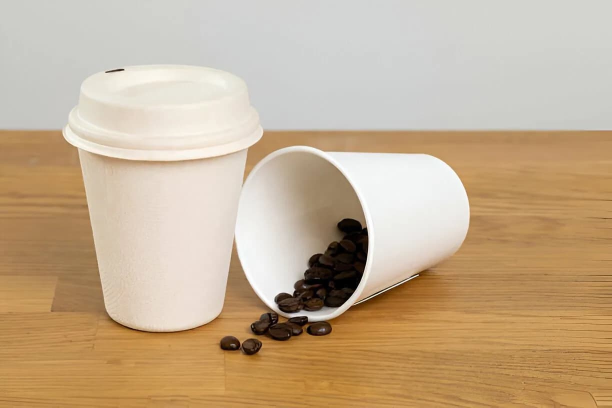 Eco Aaroyaa 80 MM Sipper Lid (Pack of 50)