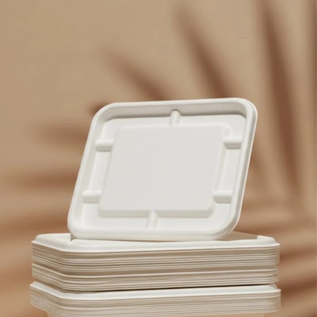 Eco Aaroyaa 750 ML Container Lid Square