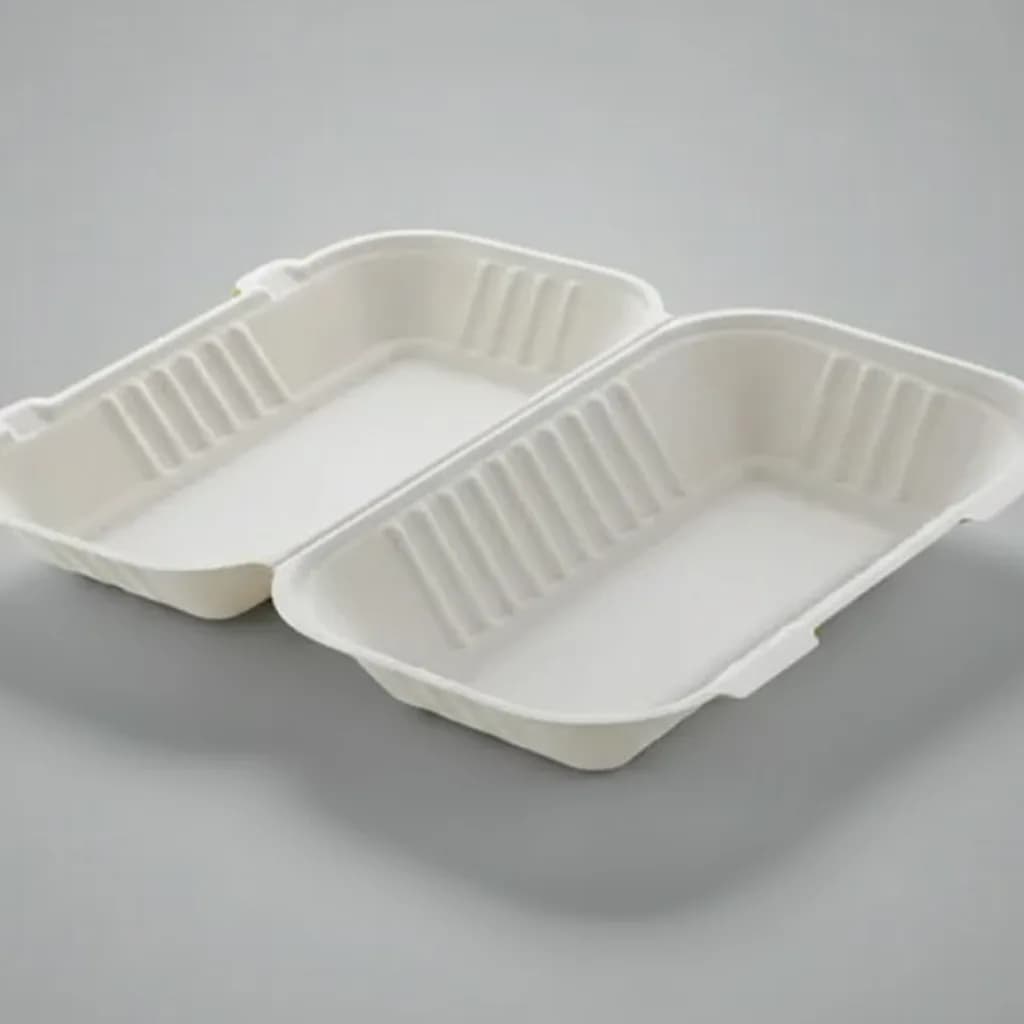 Eco Aaroyaa 9 x 6 Clamshell